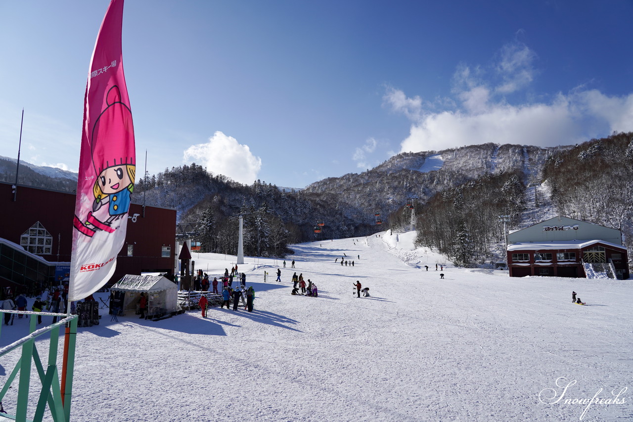 札幌国際スキー場 これぞ北海道。粉雪が降り積もったゲレンデはコンディション良好！そして、早くも全コース滑走可能です(*^^)v